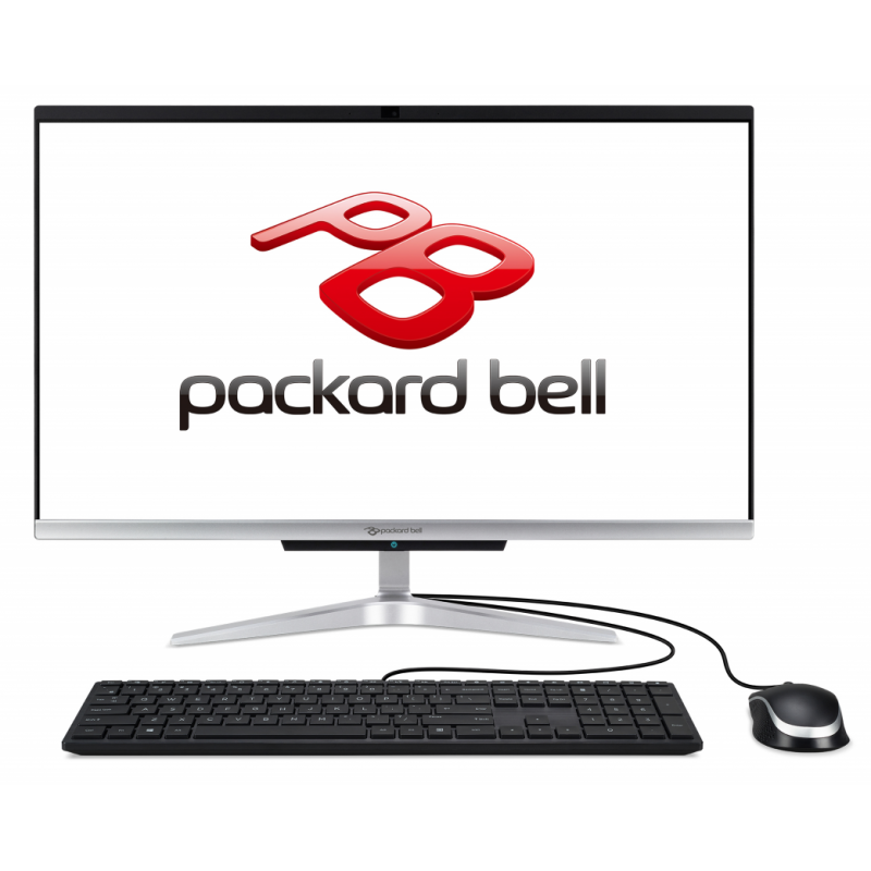 Packard Bell OneTwo C24-1100